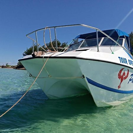 Dolphin Dhow Beach Safaris Vilanculos Dış mekan fotoğraf