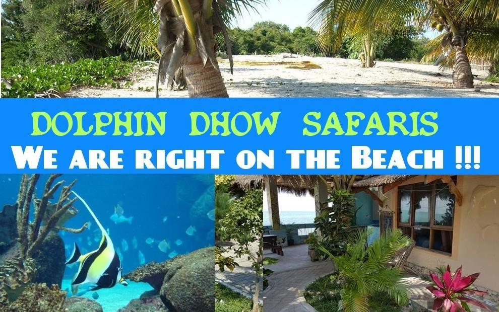 Dolphin Dhow Beach Safaris Vilanculos Dış mekan fotoğraf